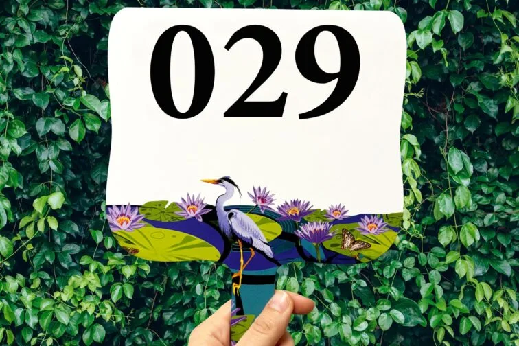 Auction paddle numbered