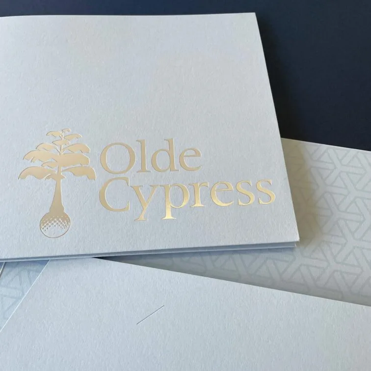 Dull silver foil stamped blue presentation folder Copy