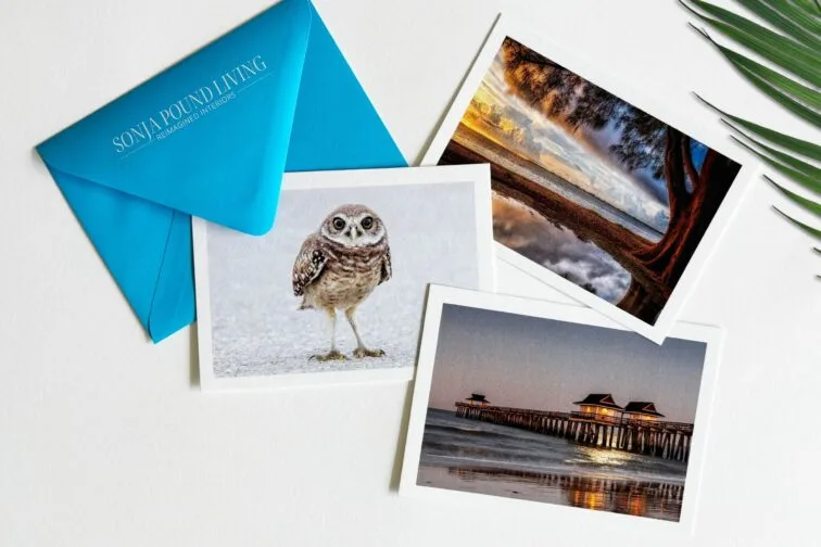 Postcard selection florida nature