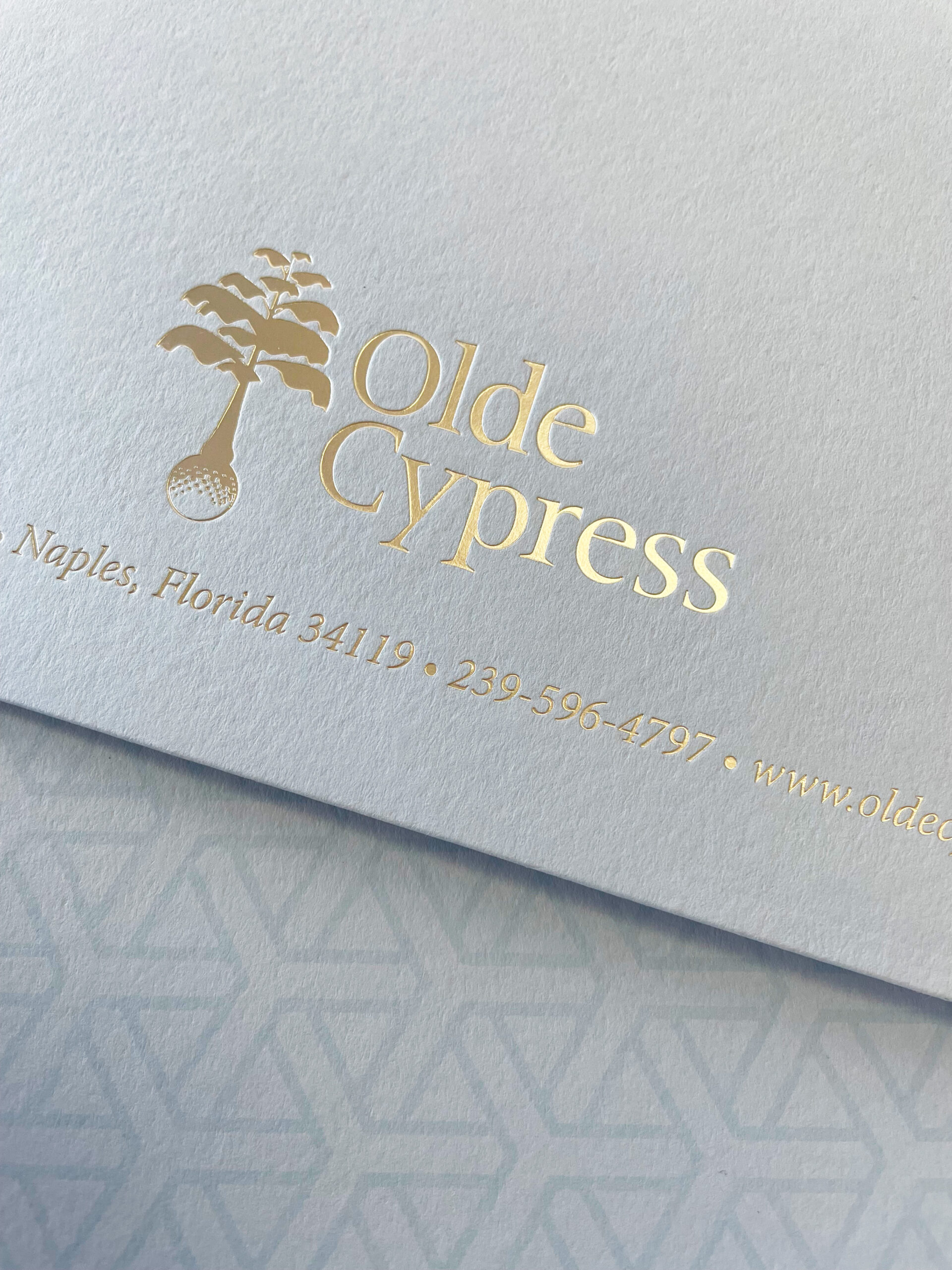 Make it Meaningful: The Club at Olde Cypress and Membership Marketing Examples