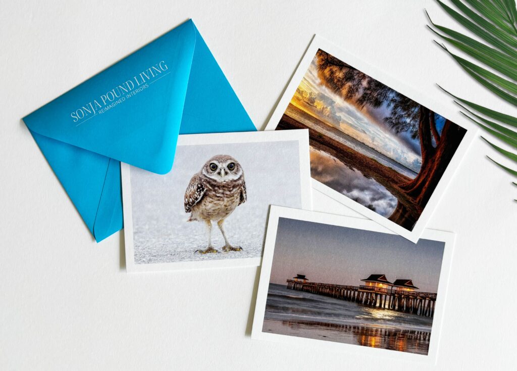 Postcard selection florida nature